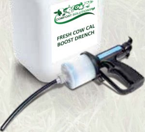 Flyer Fresh Cow Cal Boost Drench Front Back Printready