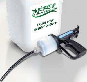 Flyer Fresh Cow Energy Drench Front Back Printready